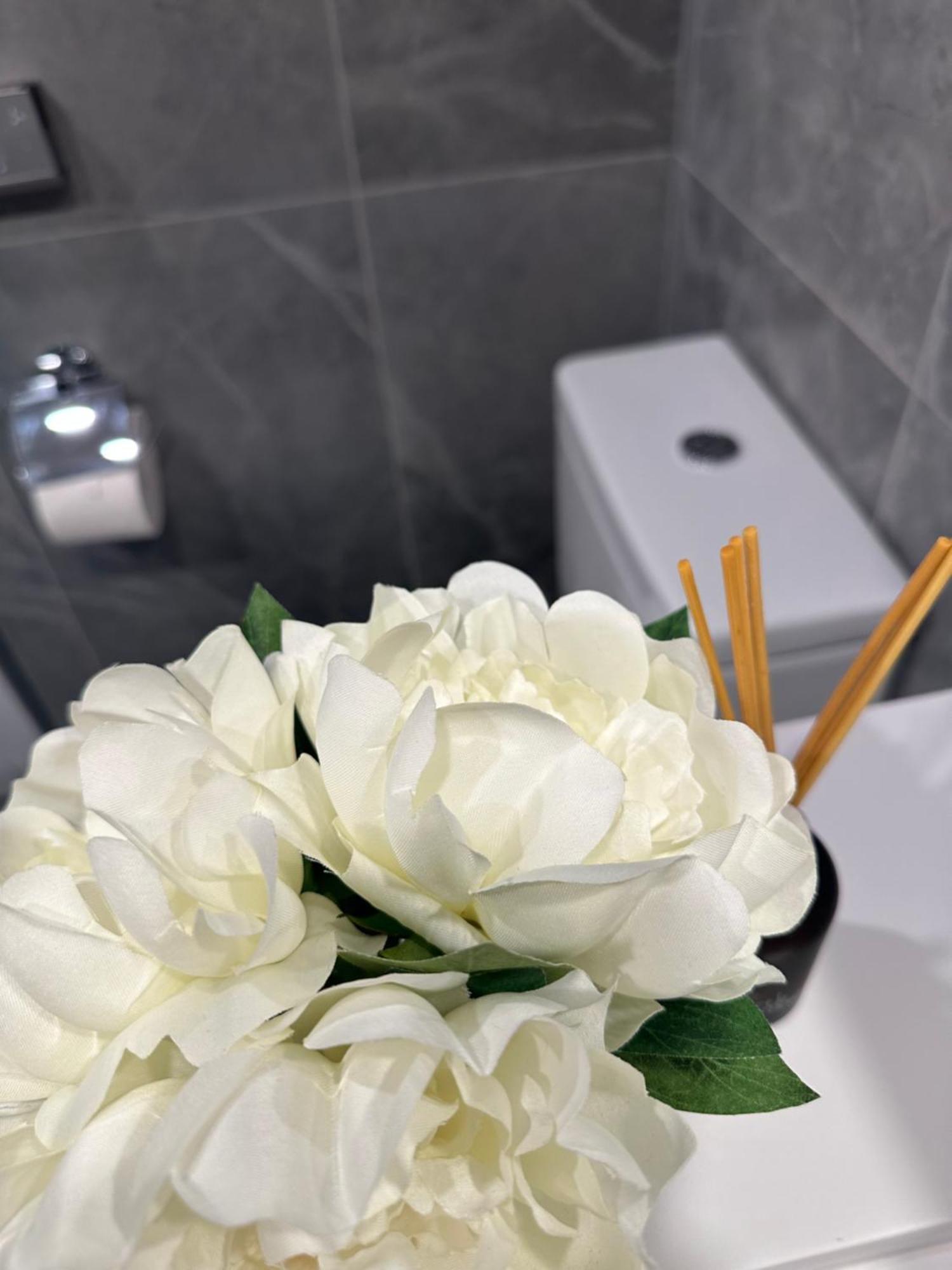 Private 1 Bed Accom With Bathroom In A 3 Bed Apartment - Melb Cbd, Regency Towers - Free Parking, Wifi And Pool 멜번 외부 사진